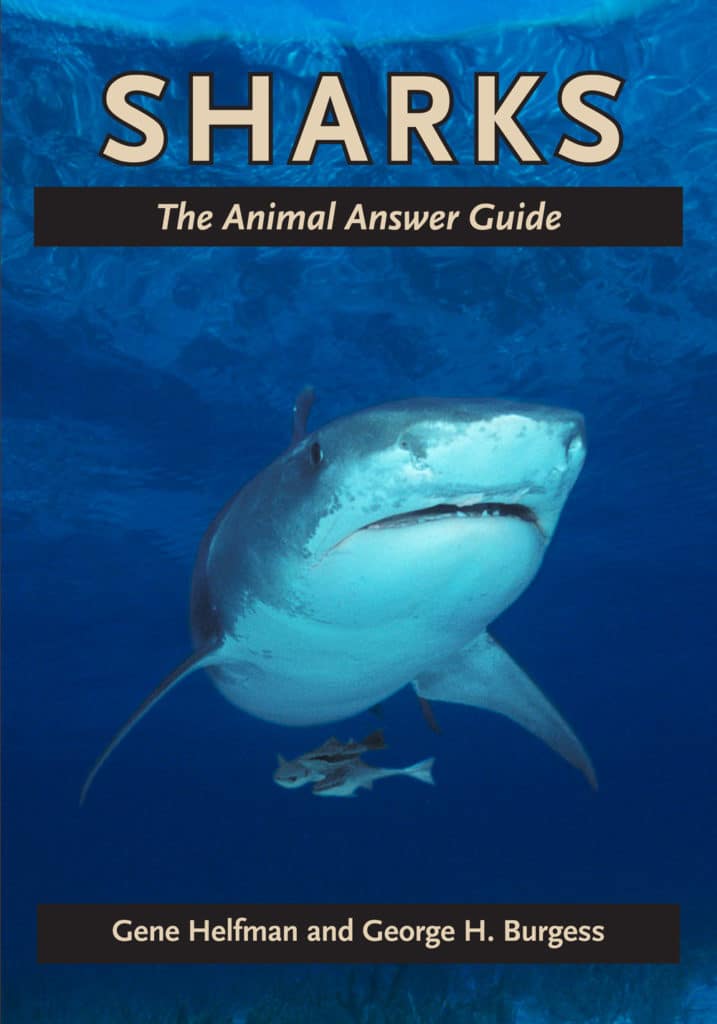 001 !a.helfman-shark book cover 4 sfm.jpg