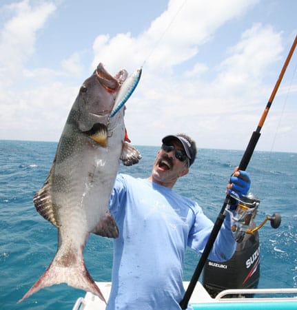 01-coral trout, australia.jpg