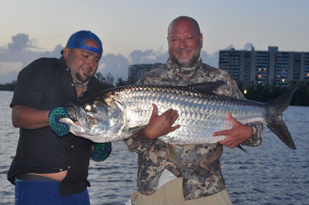 Puerto Rico tarpon guides hold a good fish for a quick photo.