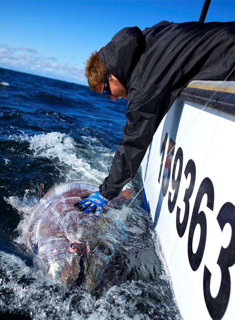 biggest tuna grander bluefin fishing Nova Scotia Canada