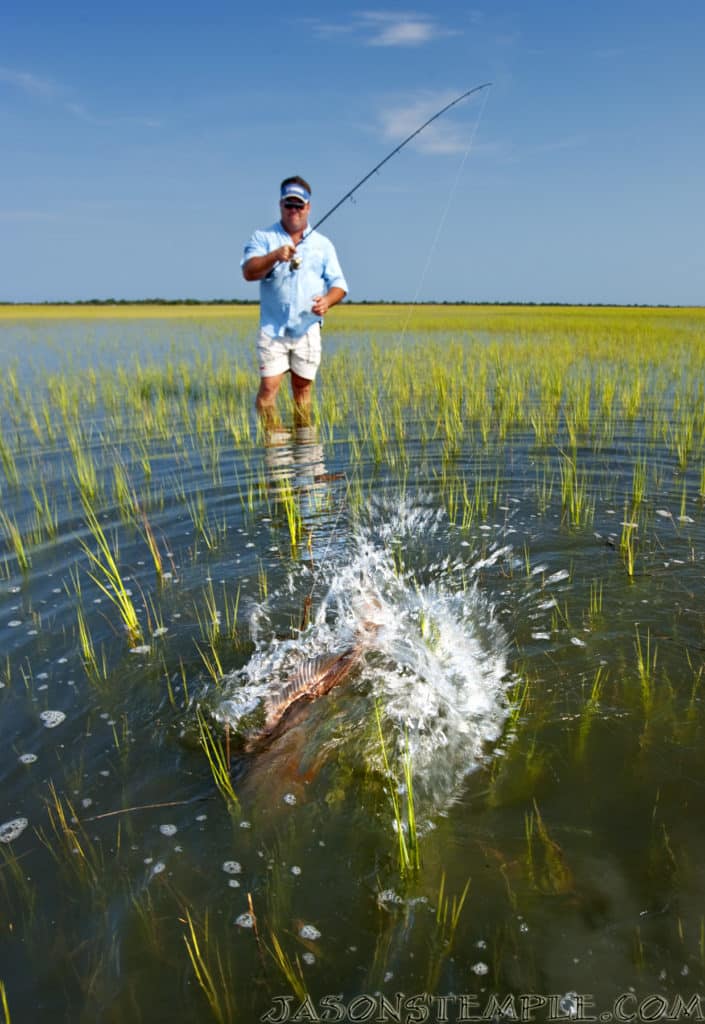 Pawley's Island South Carolina redfish fishing