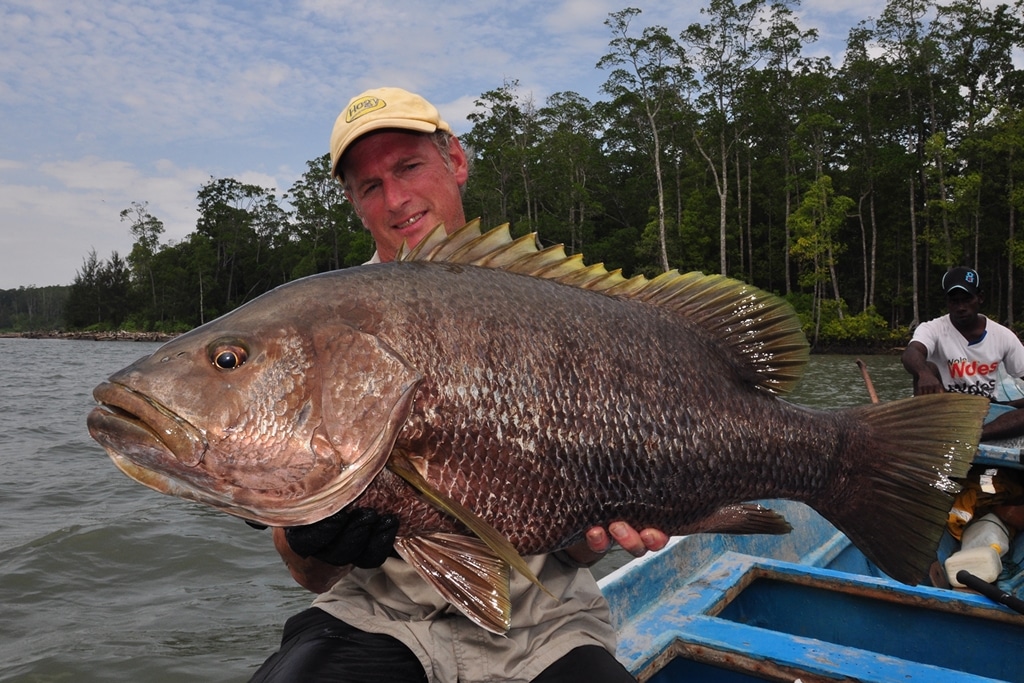 Papuan Bass Fishing in West Papua, New Guinea