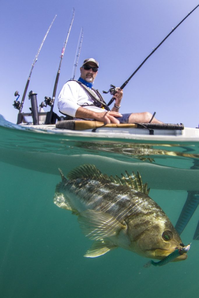 Kayak fishing Cedros Island, Baja -- over-under photo of angler and bass