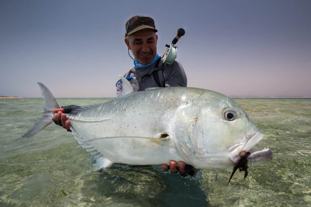 Giant Trevally GT fishing Red Sea