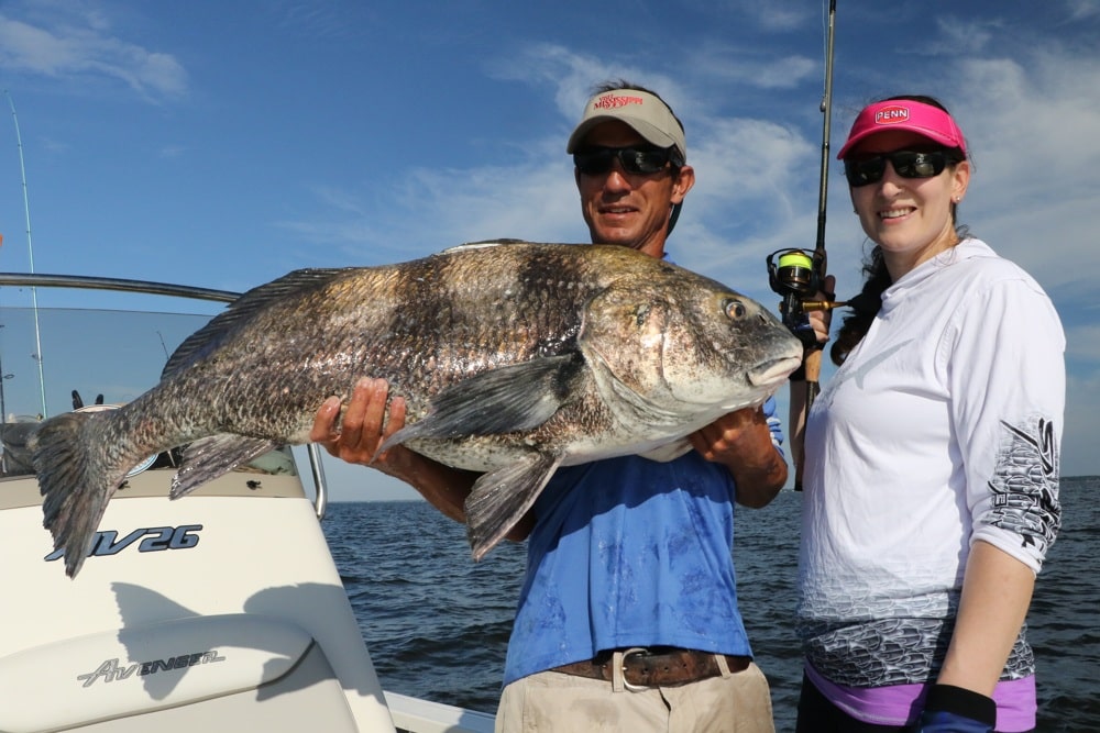 A light-tackle black drum from a MIssissippi artificial reef