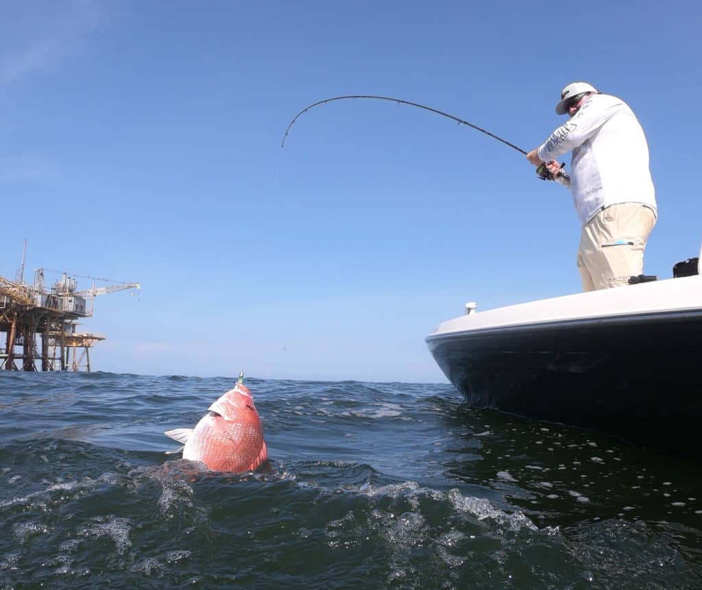 Nearshore fishing in Venice, Louisiana produces lots of catches