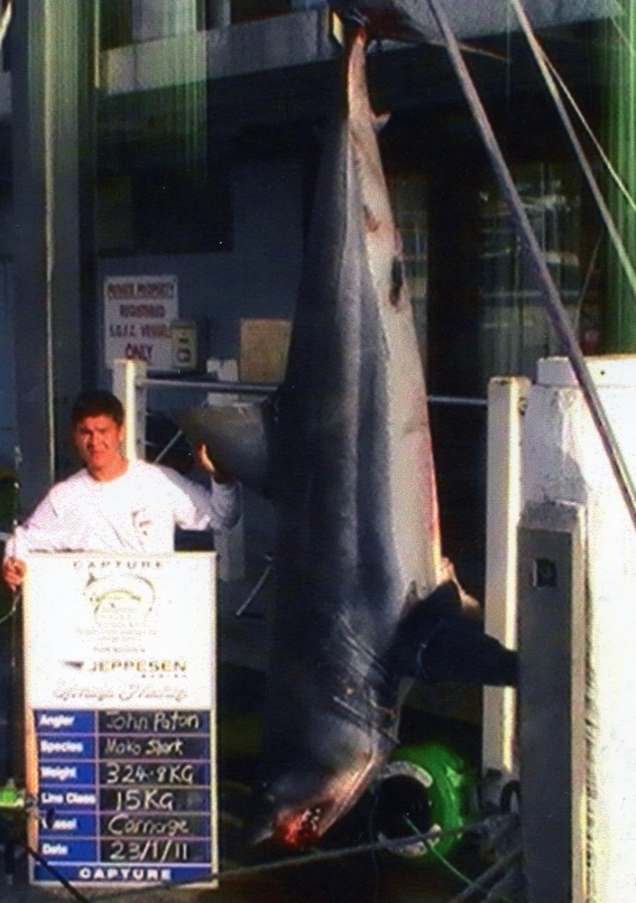 716-POUND MAKO SHARK