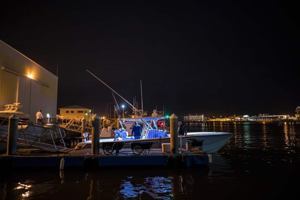 Catching Kingfish Off Cape Canaveral, Florida