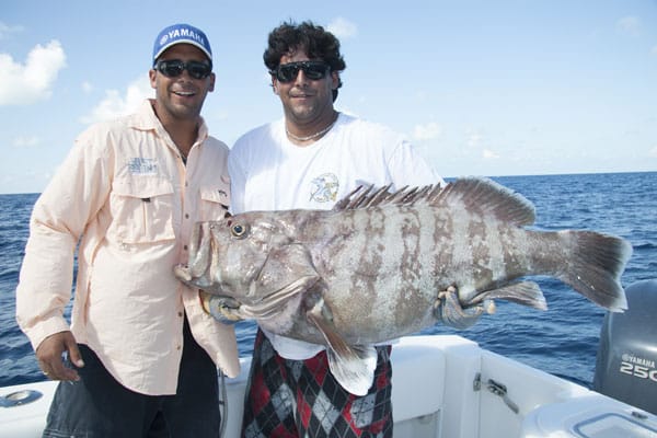 02-misty grouper, bahamas.jpg