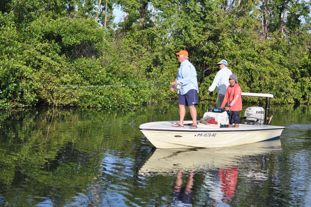 Fly-rodders cast along the edges of mangroves in Puerto Rico estuaries