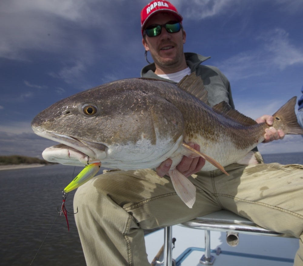 Top Three Fishing Lures for Redfish - BassPro Edition. #redfish #redfi