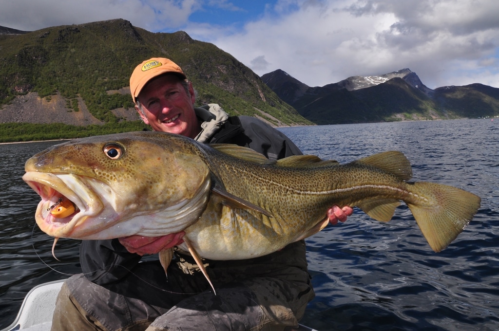 Wide-Open Light-Tackle Fishing in the North Atlantic