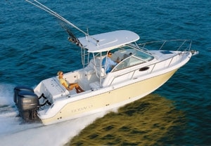 02br_robalo300.jpg