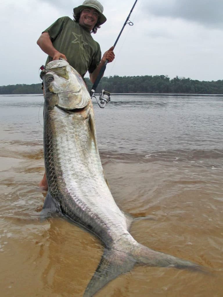 Fisherman holding a huge tarpon caught in Gabon