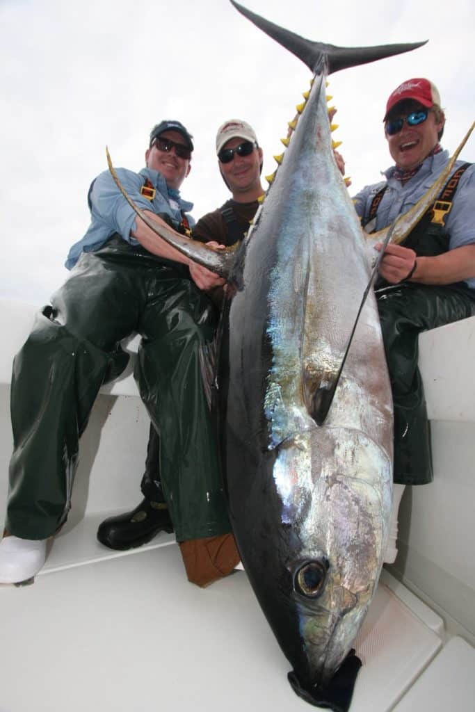 biggest tuna yellowfin fishing Venice Louisiana