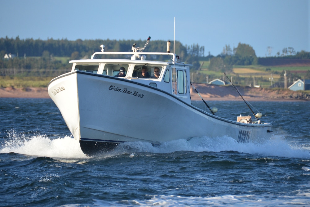 BFT fishing boats running