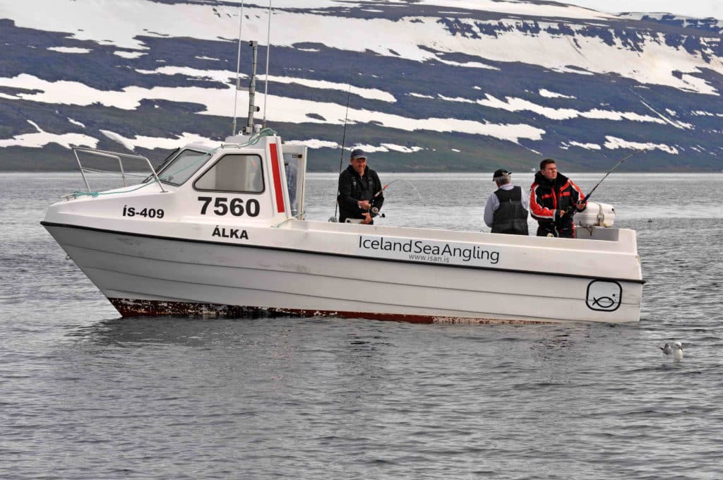 Anglers double hookup fishing Iceland coast