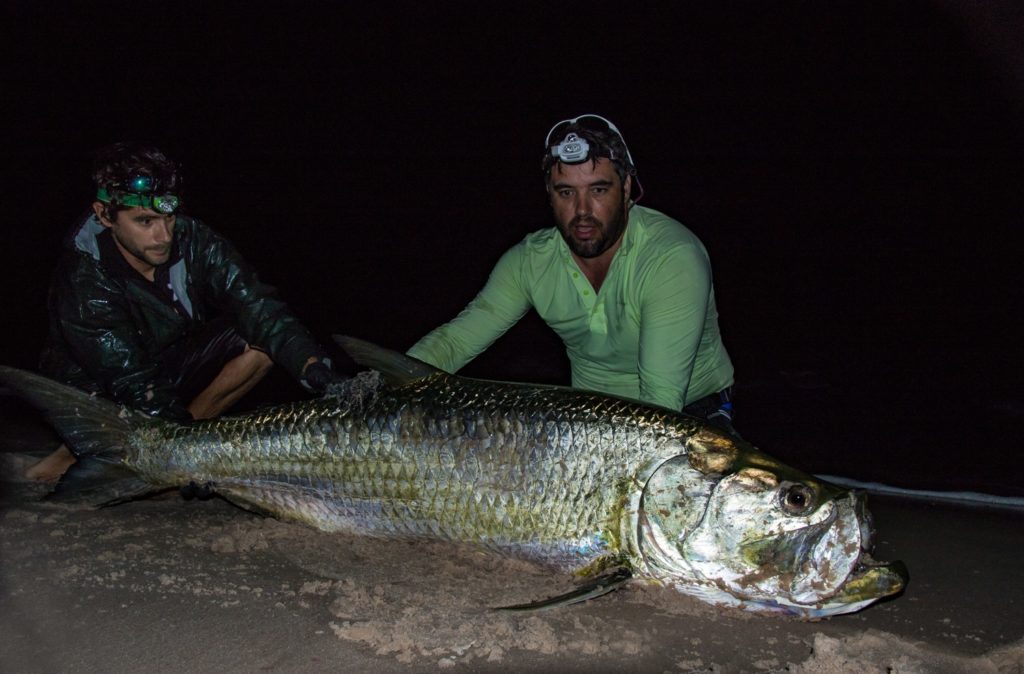 Fishing Gabon's Breathtaking Beaches - releasing a huge tarpon