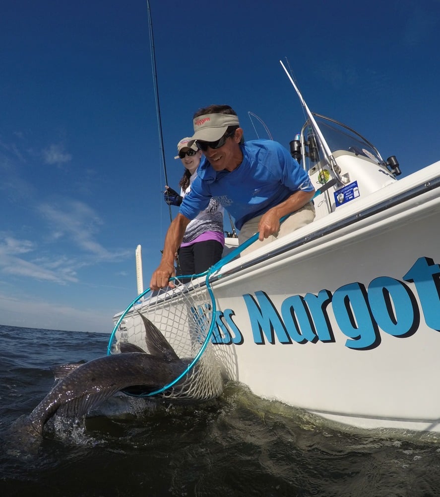 Big black drum being landed in small net