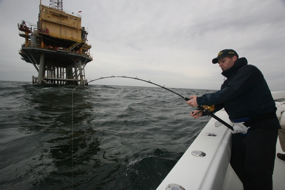 biggest tuna yellowfin deepwater oil rig fishing Gulf of Mexico