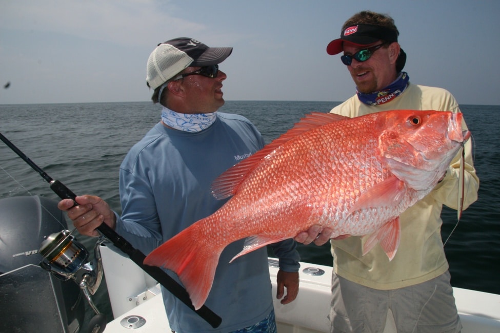 Best fishing vacation Venice, Louisiana, red snapper