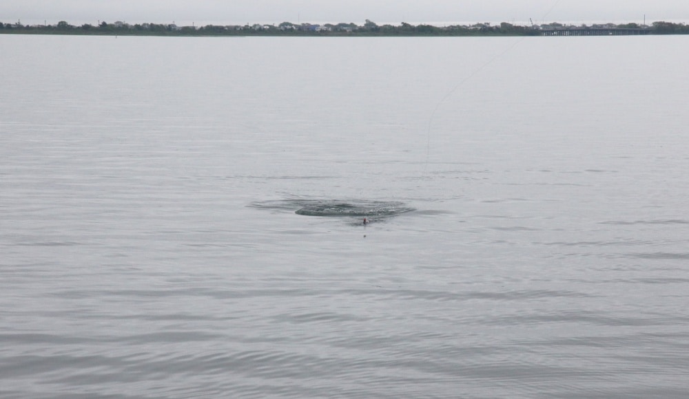 Popping for Bluefish on New York Flats