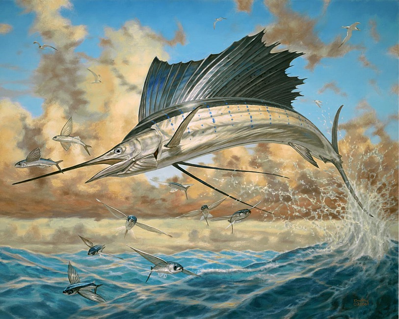 sailfish offshore color change art Don Ray marine fishing artist