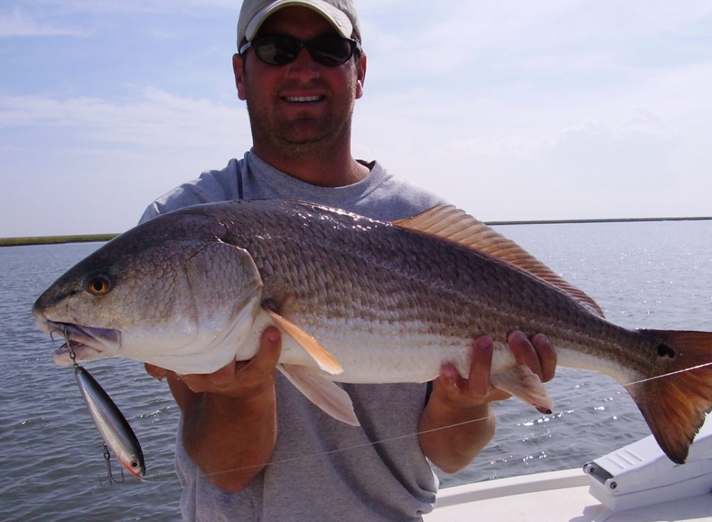 Red drum caught while fishing in Venice, Louisiana