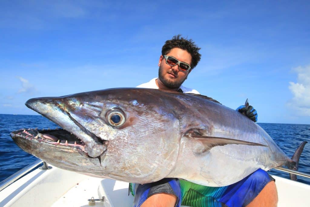 Giant dogtooth tuna