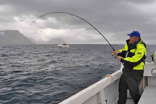 Angler saltwater sea fishing off Sudavik Iceland