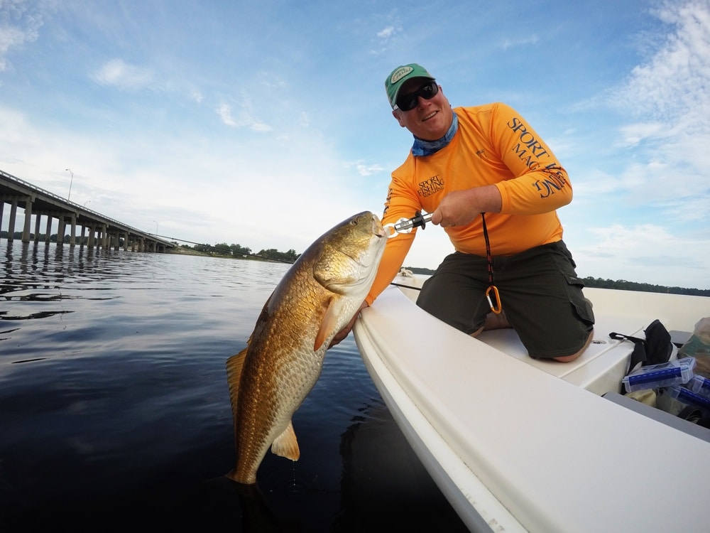 Panama City bull redfish