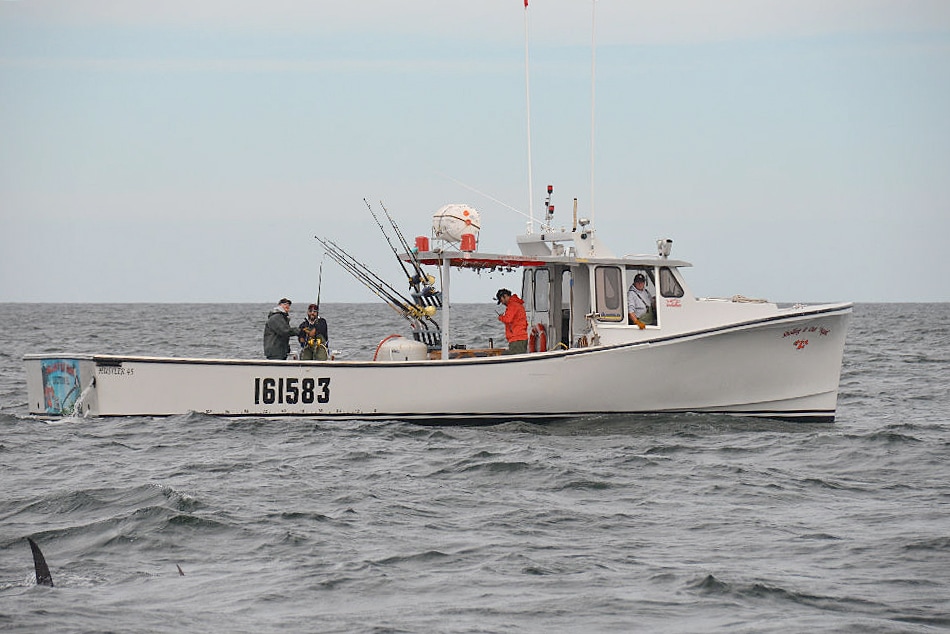 PEI tuna fishing boats