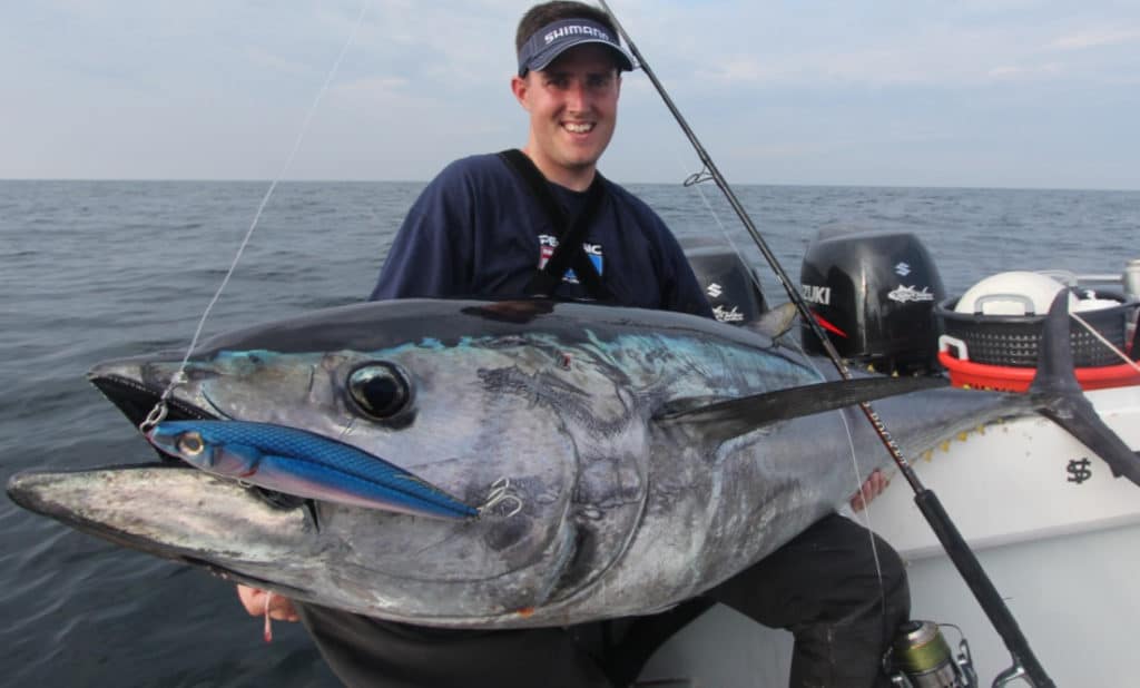 Big bluefin tuna fish caught in New England