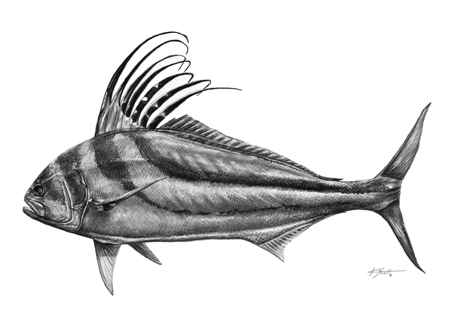 05 roaster fish.jpg
