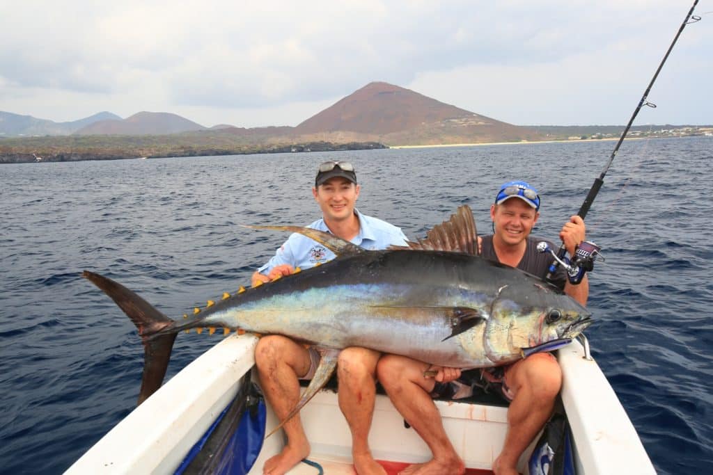 Ascension Island - huge tuna