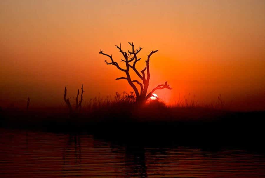 05_biloxi marsh at dawn.jpg