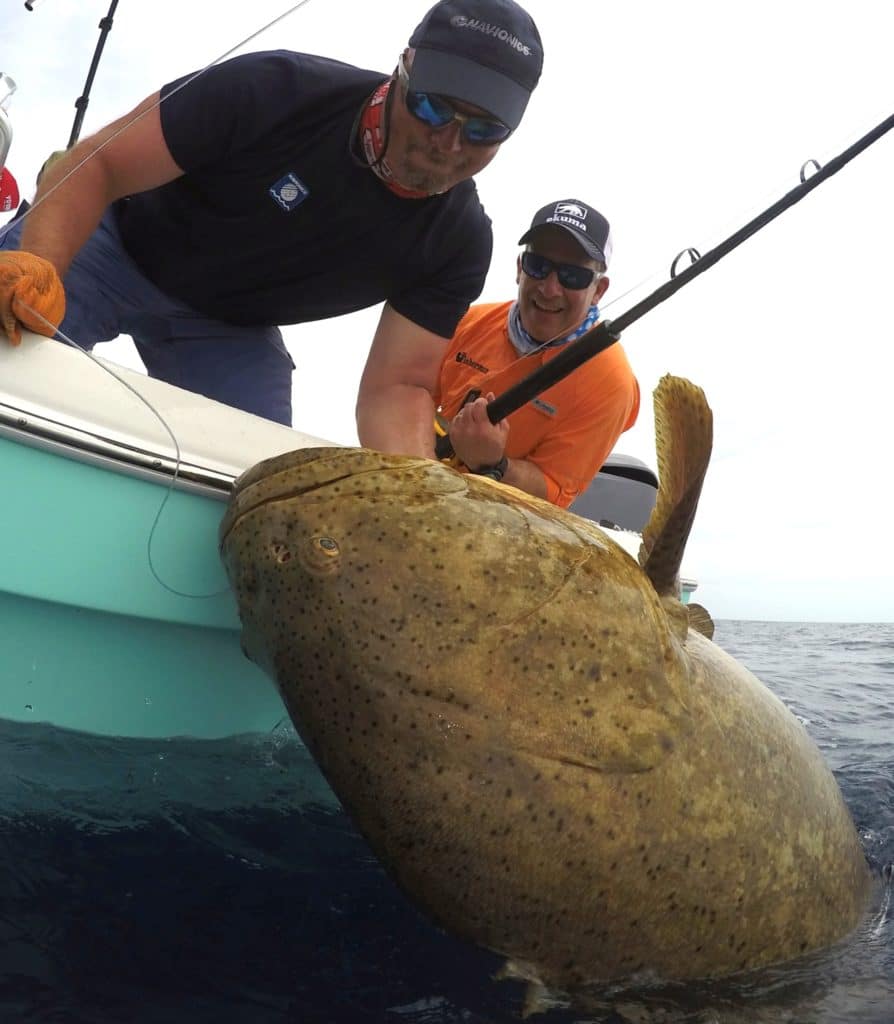 giant goliath grouper caught fishing Marco Island, Florida