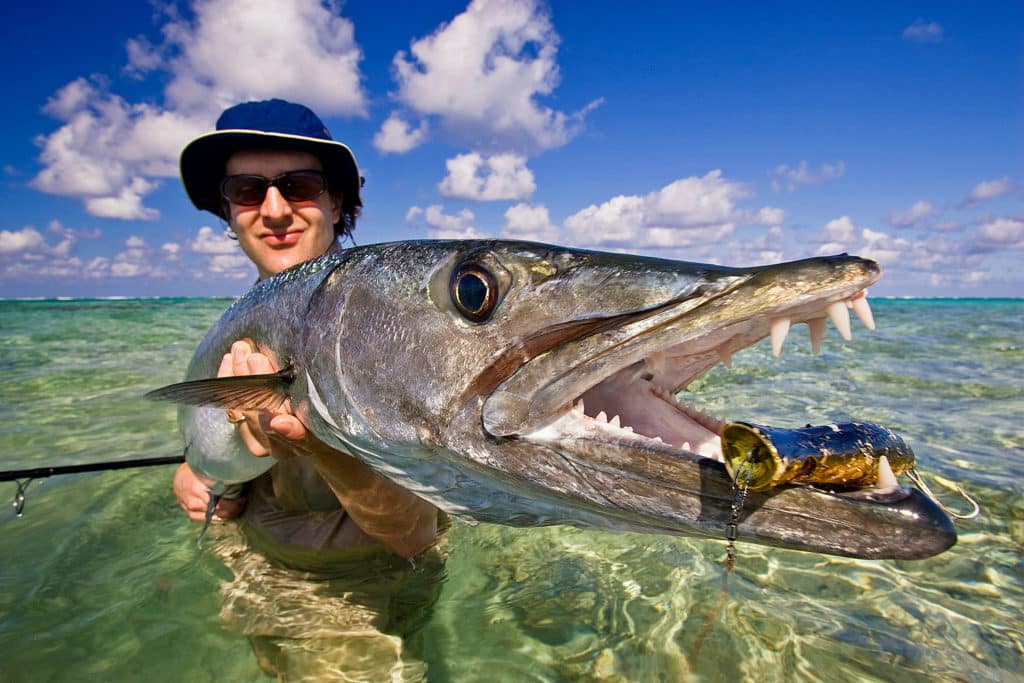 Dazzling fishing photography of Henry Gilbey - great barracuda