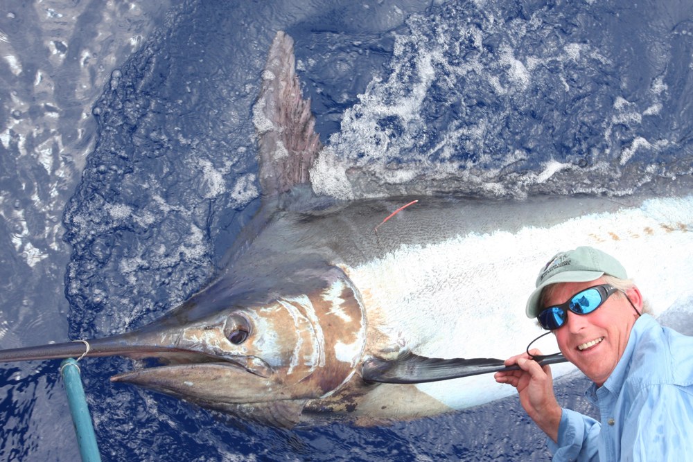 Grander blue marlin offshore next to a deep sea fishing boat