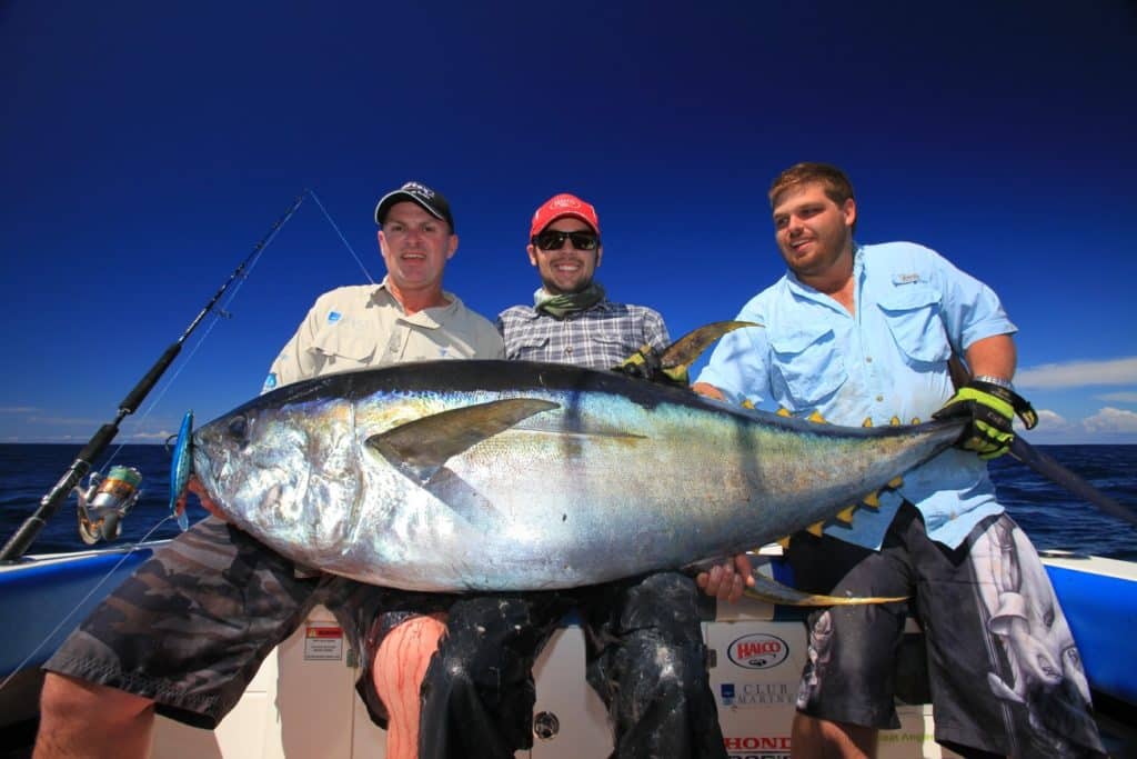 06 sydney yellowfin tuna slam, al mcglashan img_9995.jpg
