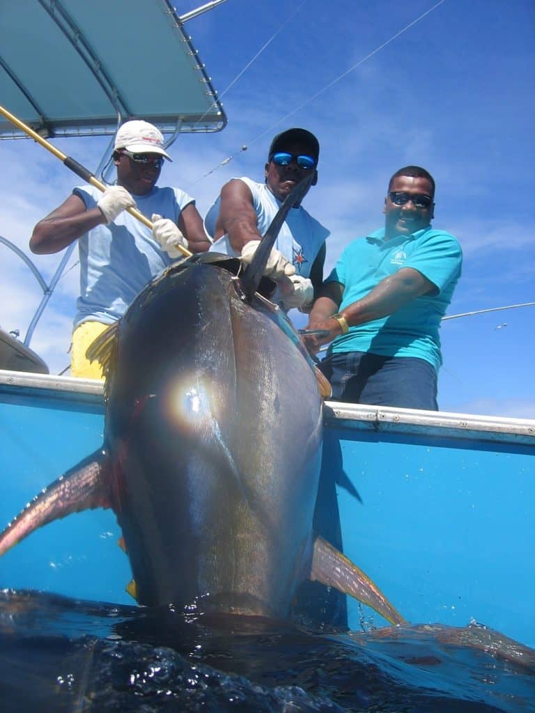 biggest tuna yellowfin fishing Tropic Star Lodge Piñas Bay Panama