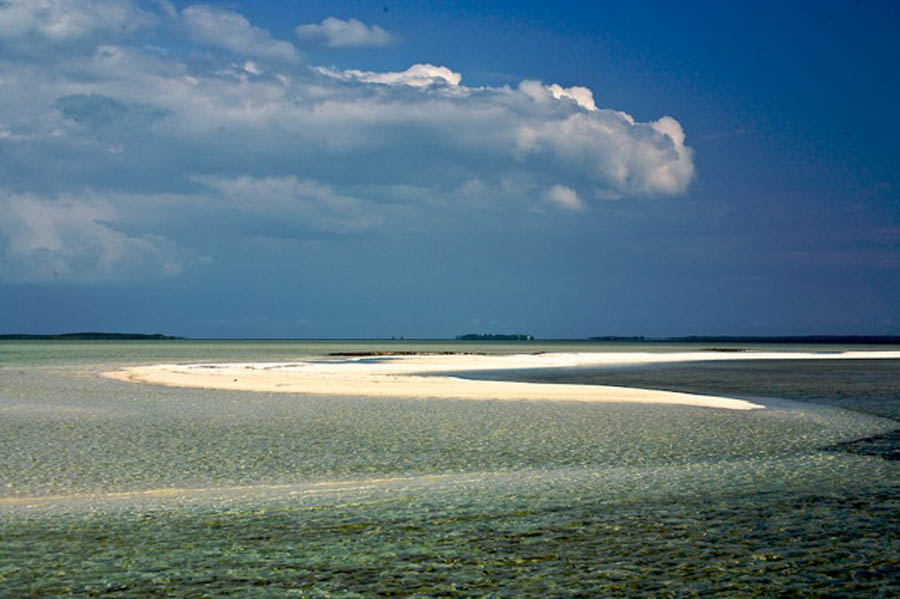 06_chubb cay bonefish flat.jpg