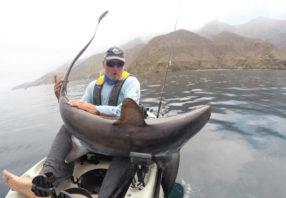 A kayak angler tries to subdue a thresher shark off Cedros Island, Mexico