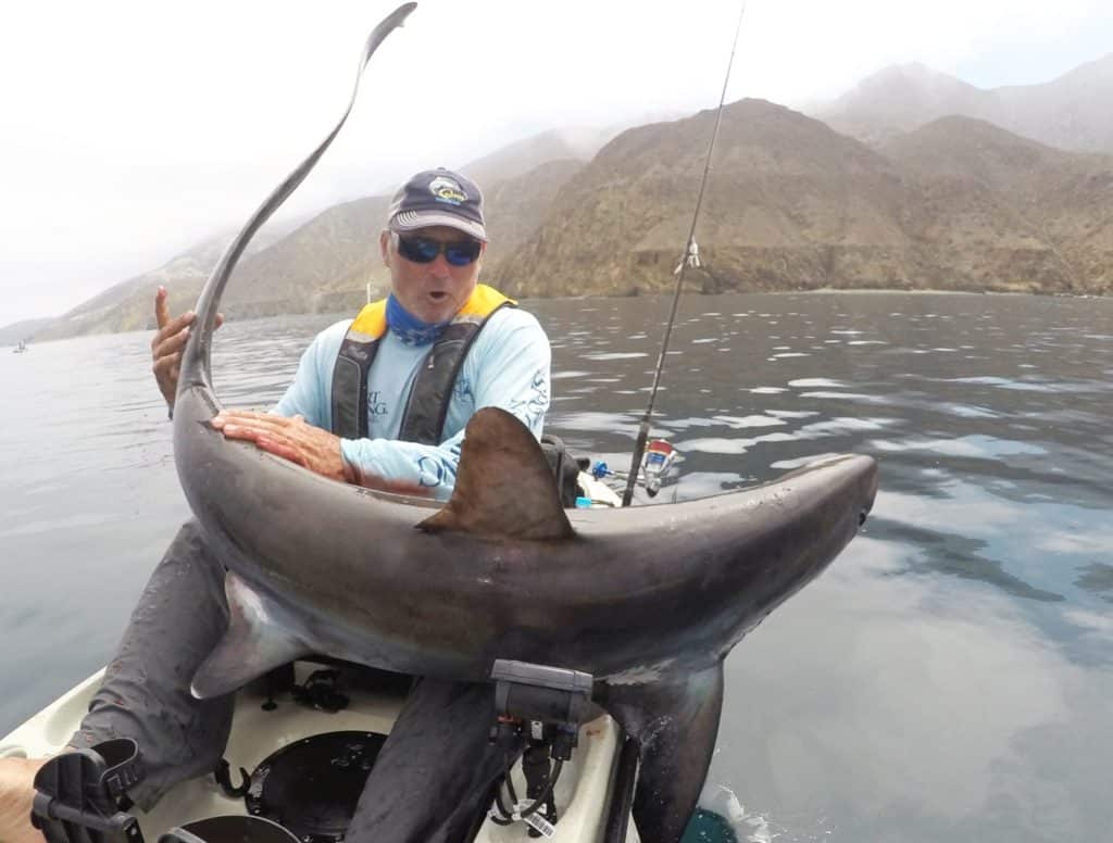 Kayak fishing Cedros Island, Baja -- man wrestles shark