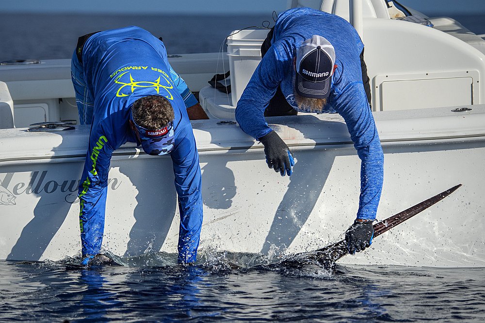 Saltwater anglers subduing a large swordfish caught fishing off Hawks Cay, Florida Keys