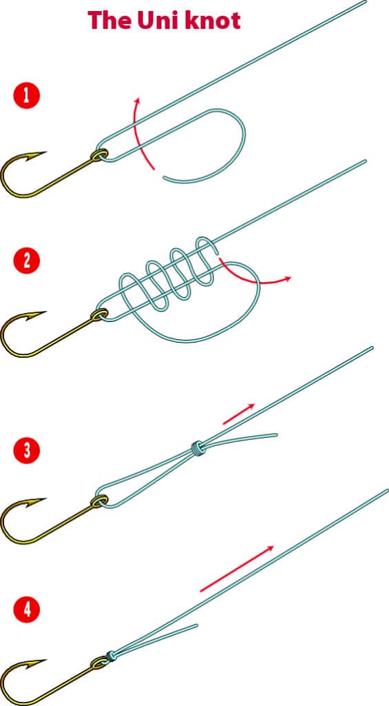 Best Knot for Braided Line, Monofilament Line