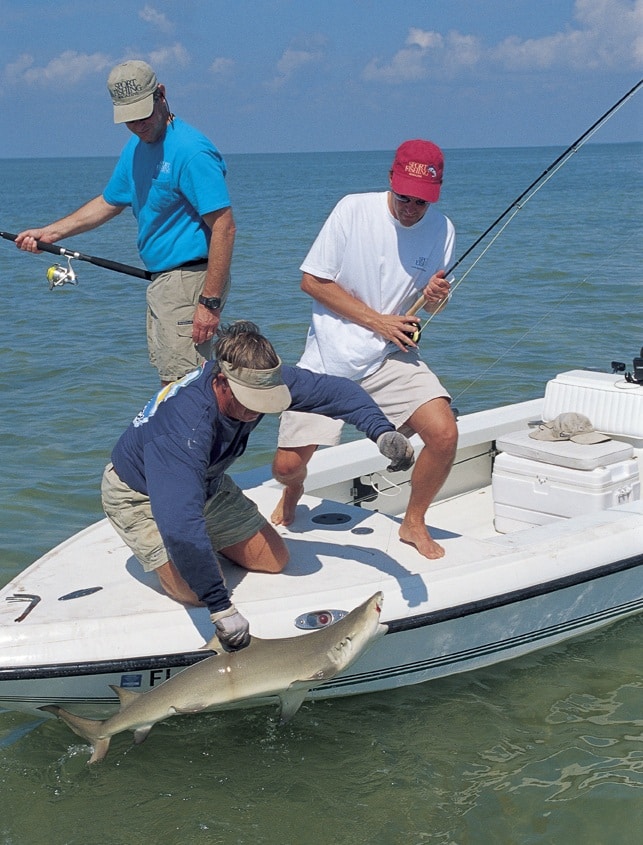 Best fishing vacation Islamorada, Florida Keys, blacktip shark