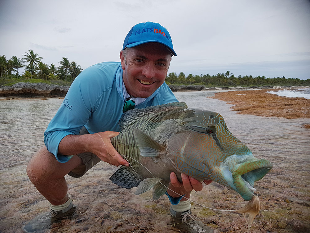 humphead wrasse anaa atoll