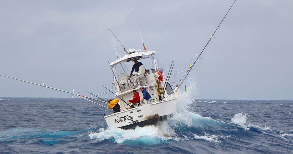 The wireman works to retain his hold on a large marlin in the chop formed by currents passing over the Azores Bank.