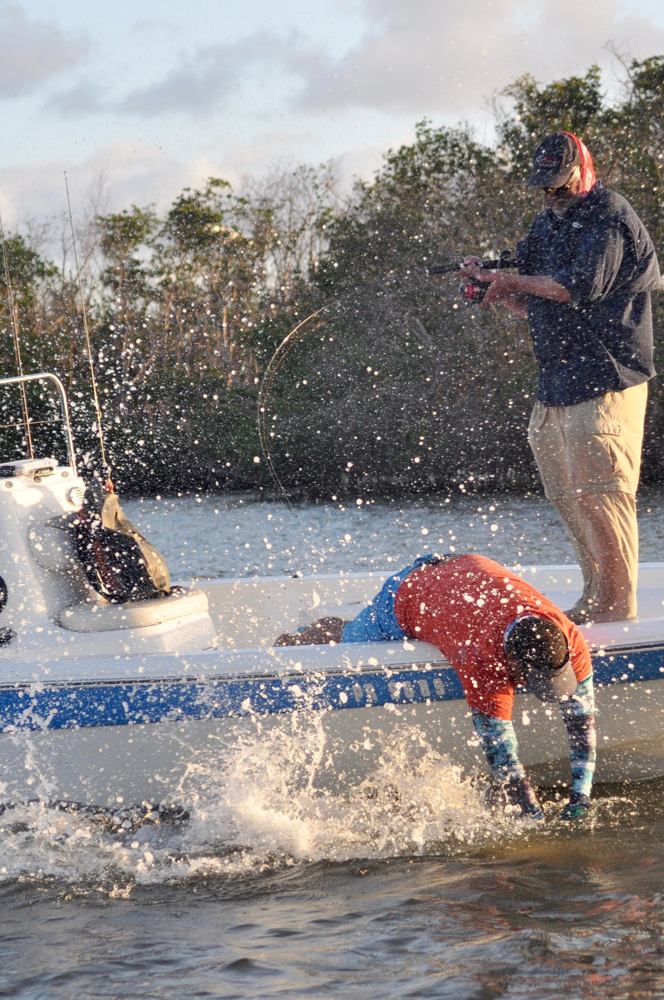 A large tarpon goes ballistic next to the boat as the guide attempts to release it